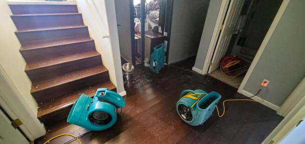Best Commercial water damage restoration  in Ames, IA