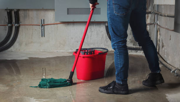 Best Water damage restoration mold remediation  in Ames, IA