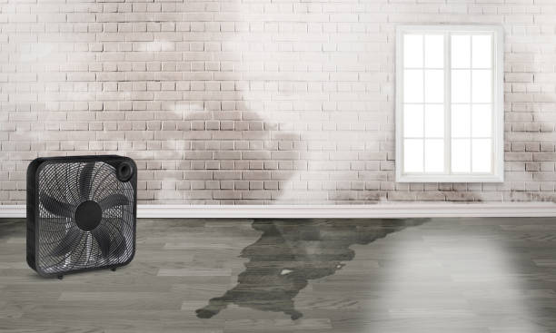 Ames, IA Water damage restoration Company
