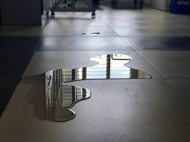 Best 24/7 water damage repair  in Ames, IA