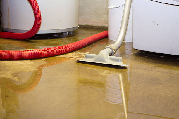 Best 24-hour water damage restoration  in Ames, IA