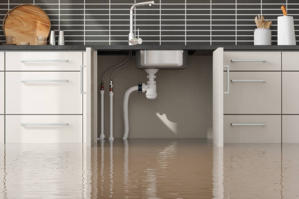 Best Local water damage restoration  in Ames, IA
