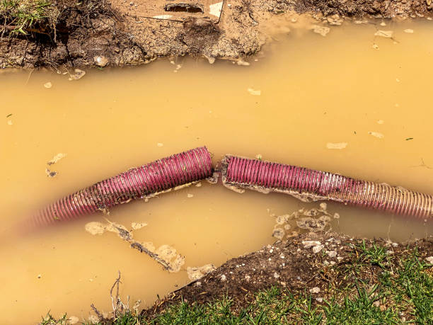 Best Water damage cleanup near me  in Ames, IA