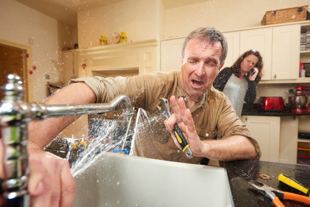 Best Flood damage cleanup  in Ames, IA